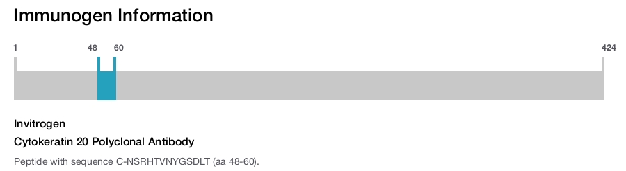 Cytokeratin 20 Polyclonal Antibody