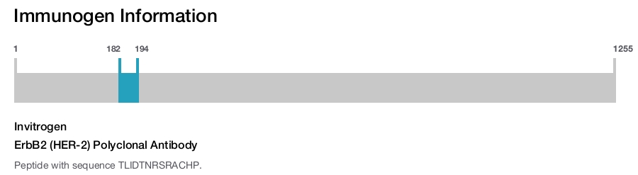 ErbB2 (HER-2) Polyclonal Antibody