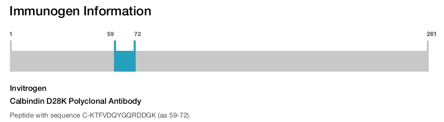 Calbindin D28K Polyclonal Antibody