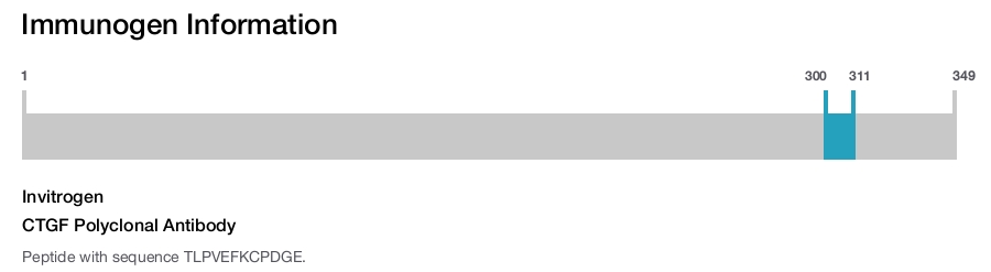 CTGF Polyclonal Antibody