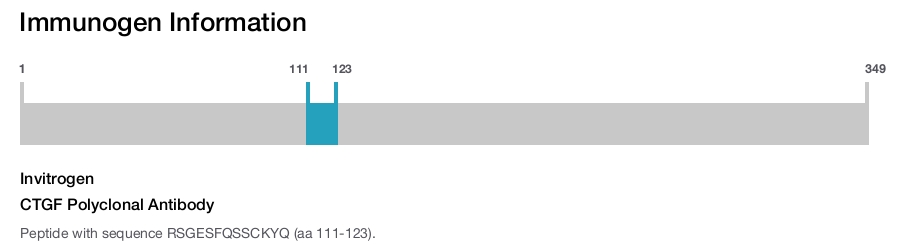 CTGF Polyclonal Antibody