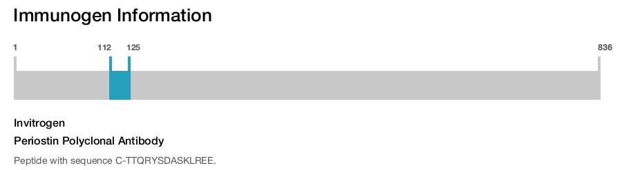 Periostin Polyclonal Antibody