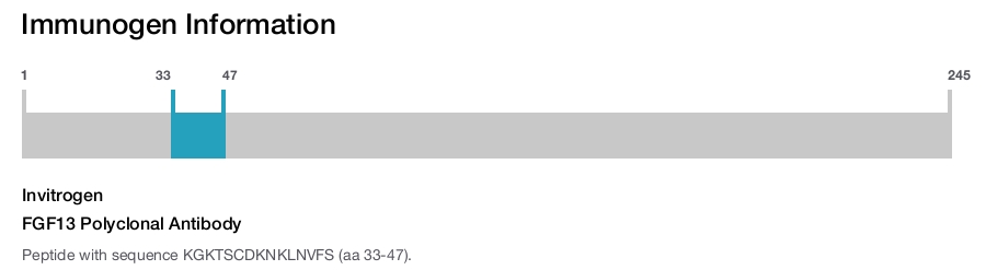 FGF13 Polyclonal Antibody