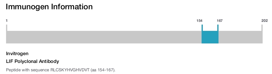 LIF Polyclonal Antibody