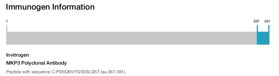 MKP3 Polyclonal Antibody