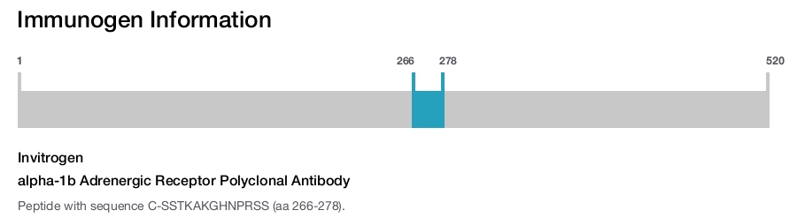 alpha-1b Adrenergic Receptor Polyclonal Antibody