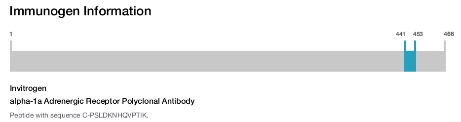 alpha-1a Adrenergic Receptor Polyclonal Antibody