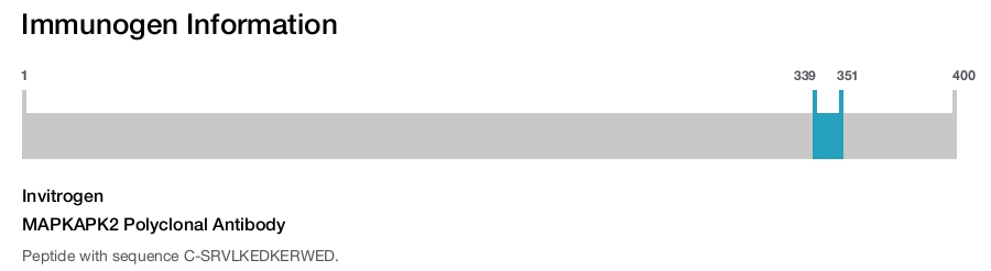 MAPKAPK2 Polyclonal Antibody