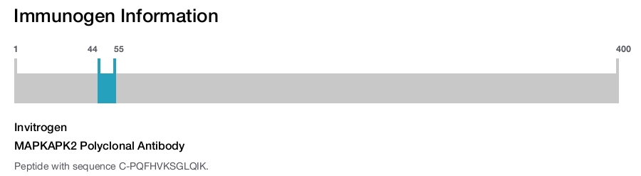 MAPKAPK2 Polyclonal Antibody