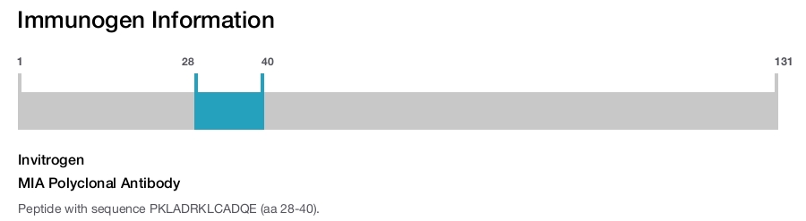 MIA Polyclonal Antibody