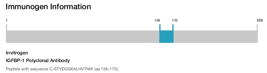 IGFBP-1 Polyclonal Antibody