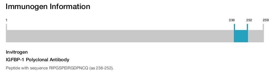 IGFBP-1 Polyclonal Antibody