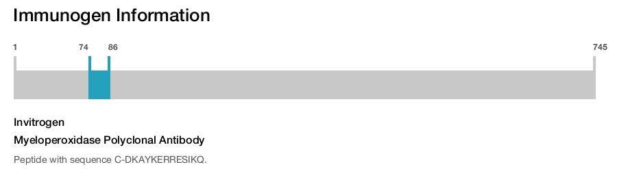 Myeloperoxidase Polyclonal Antibody
