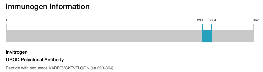 UROD Polyclonal Antibody
