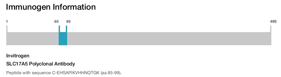 SLC17A5 Polyclonal Antibody