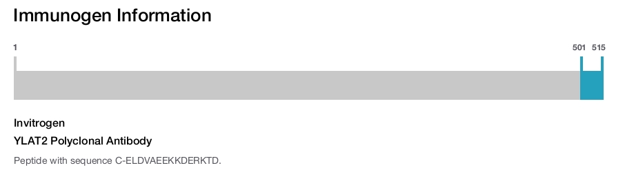 YLAT2 Polyclonal Antibody