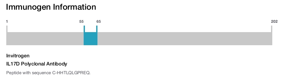 IL17D Polyclonal Antibody