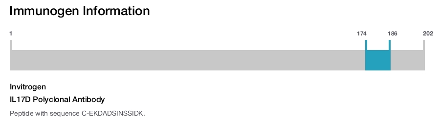 IL17D Polyclonal Antibody