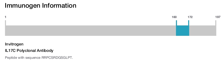 IL17C Polyclonal Antibody