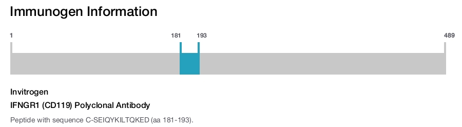 IFNGR1 (CD119) Polyclonal Antibody