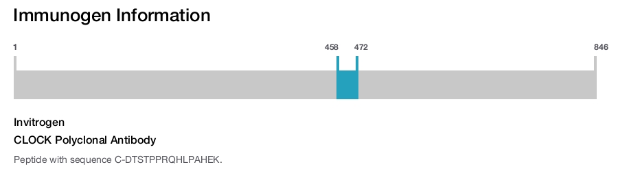 CLOCK Polyclonal Antibody