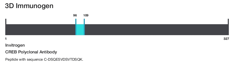 CREB Polyclonal Antibody