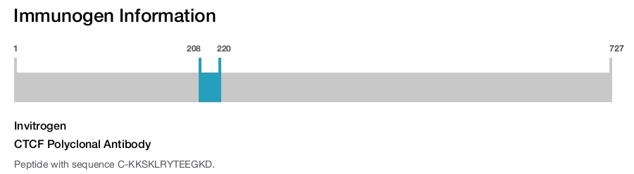 CTCF Polyclonal Antibody