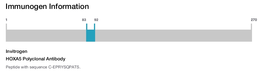 HOXA5 Polyclonal Antibody