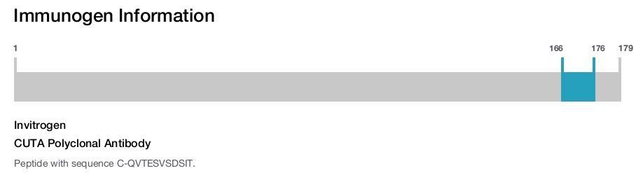 CUTA Polyclonal Antibody