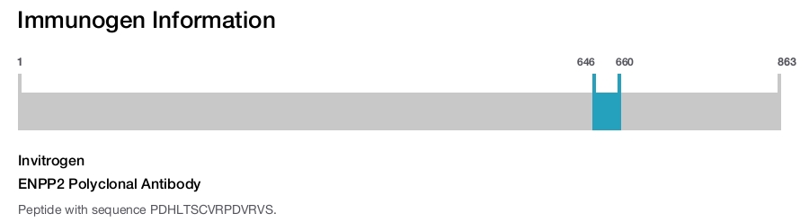 ENPP2 Polyclonal Antibody