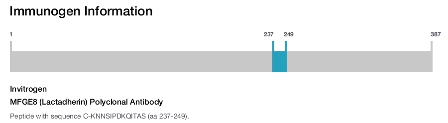 MFGE8 (Lactadherin) Polyclonal Antibody