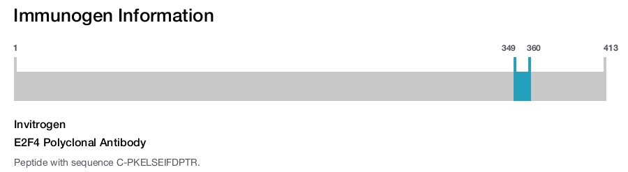 E2F4 Polyclonal Antibody