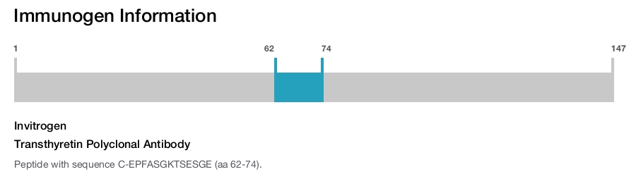 Transthyretin Polyclonal Antibody