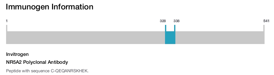 NR5A2 Polyclonal Antibody