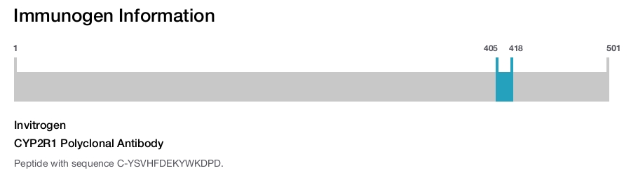 CYP2R1 Polyclonal Antibody