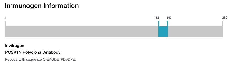 PCSK1N Polyclonal Antibody