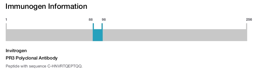 PR3 Polyclonal Antibody