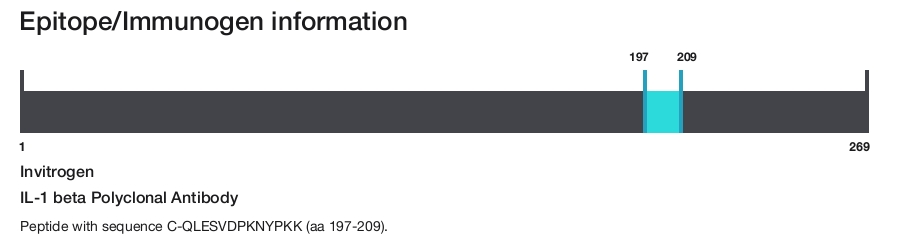 IL-1 beta Polyclonal Antibody