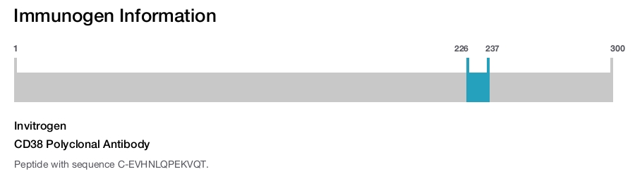 CD38 Polyclonal Antibody