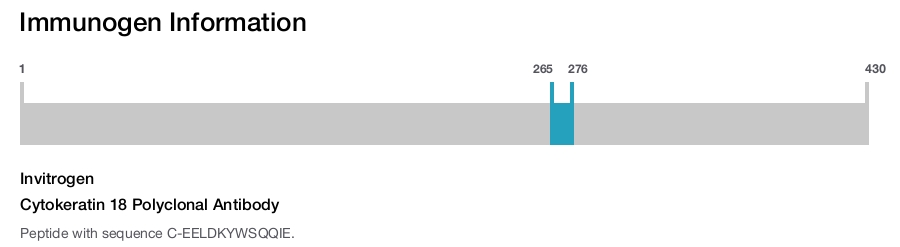 Cytokeratin 18 Polyclonal Antibody