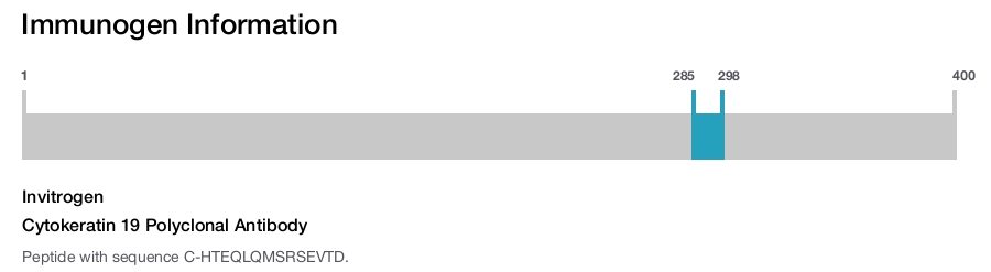 Cytokeratin 19 Polyclonal Antibody