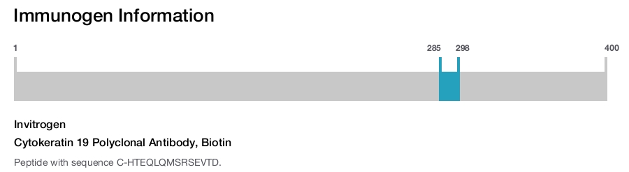 Cytokeratin 19 Polyclonal Antibody, Biotin