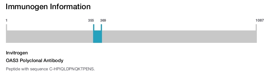 OAS3 Polyclonal Antibody