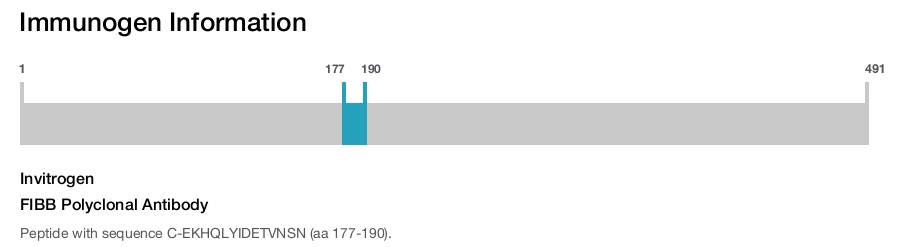 FIBB Polyclonal Antibody