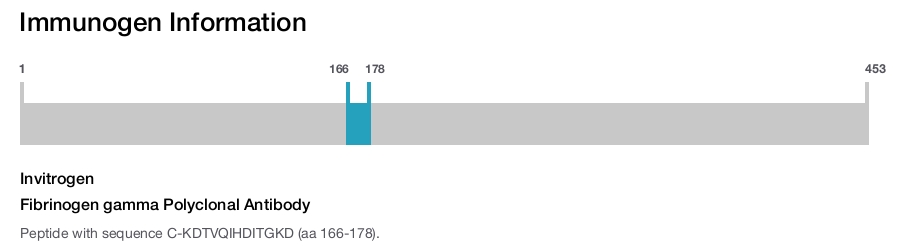 Fibrinogen gamma Polyclonal Antibody