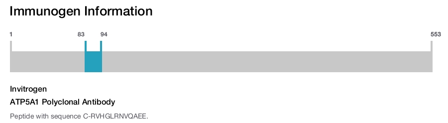 ATP5A1 Polyclonal Antibody