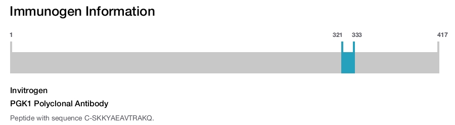 PGK1 Polyclonal Antibody