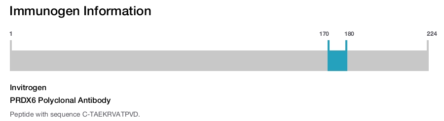 PRDX6 Polyclonal Antibody