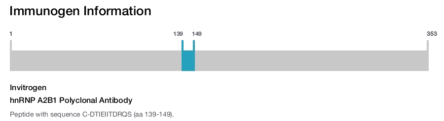 hnRNP A2B1 Polyclonal Antibody