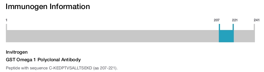 GST Omega 1 Polyclonal Antibody